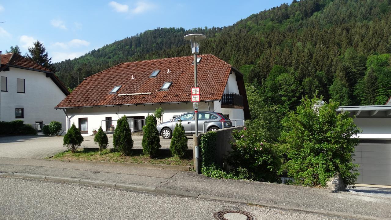 Alb-rosa Apartment Bad Herrenalb